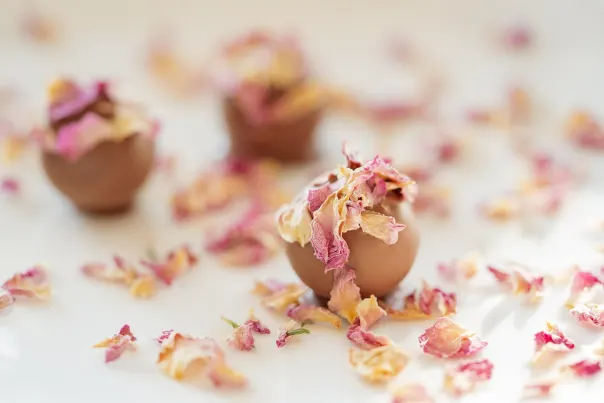 JokerBet Casino Android/iOS App